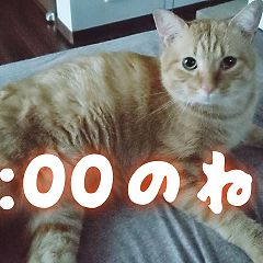 16位のイメージ