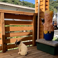 12位のイメージ