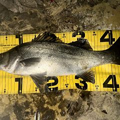 64位のイメージ