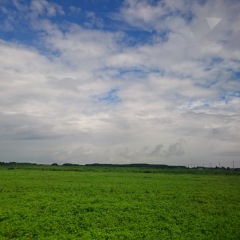 27位のイメージ