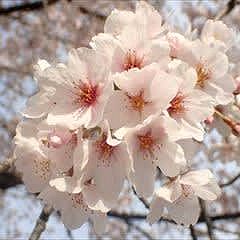 28位のイメージ