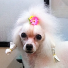 96位のイメージ