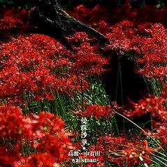 17位のイメージ