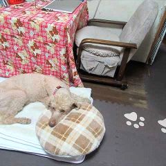 16位のイメージ