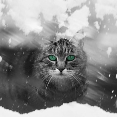 51位のイメージ