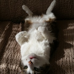 56位のイメージ