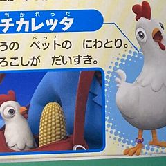 24位のイメージ