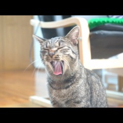 96位のイメージ