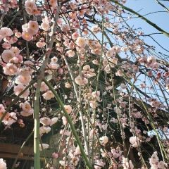 123位のイメージ