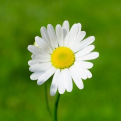 73位のイメージ