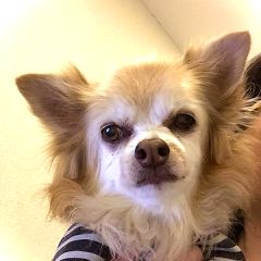 32位のイメージ