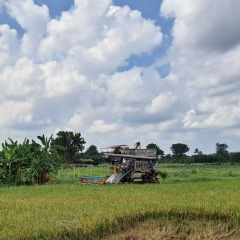 67位のイメージ