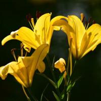 15位のイメージ