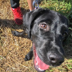 28位のイメージ