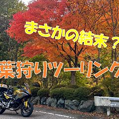 15位のイメージ