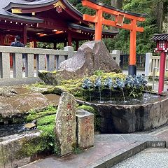 29位のイメージ