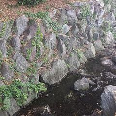 52位のイメージ