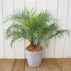 21位のイメージ