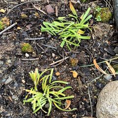 14位のイメージ