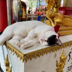 147位のイメージ