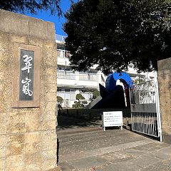 59位のイメージ