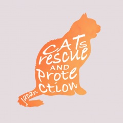 86位のイメージ