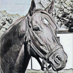 99位のイメージ