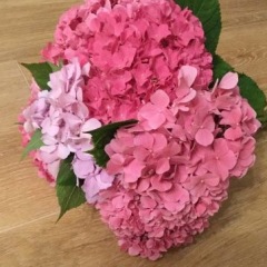 186位のイメージ