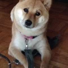 22位のイメージ