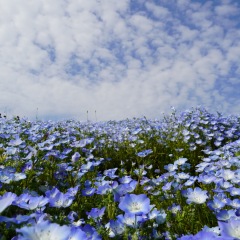 10位のイメージ