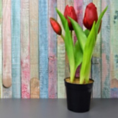 52位のイメージ