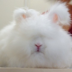 21位のイメージ