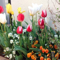 171位のイメージ