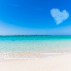 98位のイメージ