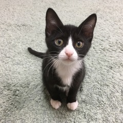 16位のイメージ