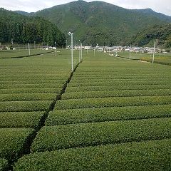 28位のイメージ