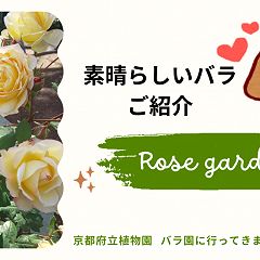 56位のイメージ