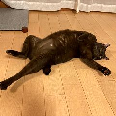 58位のイメージ