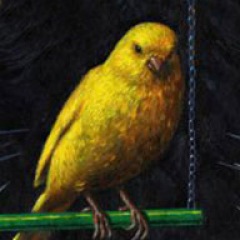 25位のイメージ