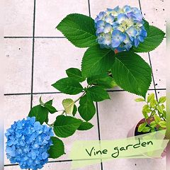 108位のイメージ