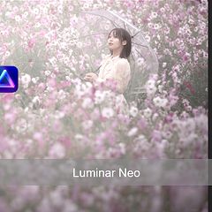 25位のイメージ