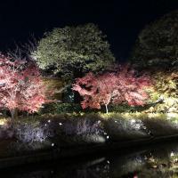 157位のイメージ