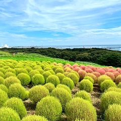 30位のイメージ