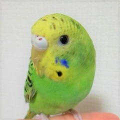 25位のイメージ