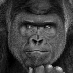 82位のイメージ