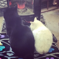 1274位のイメージ