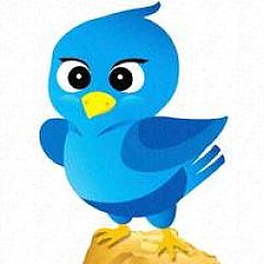 15位のイメージ