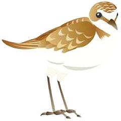 25位のイメージ