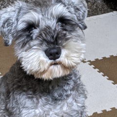 22位のイメージ