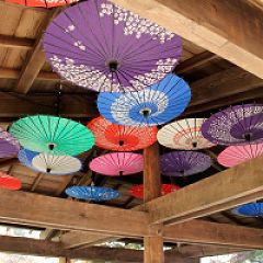 30位のイメージ